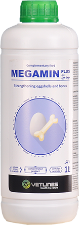 Megamin Plus