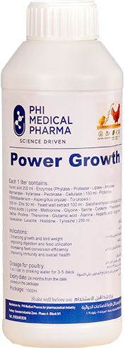 Power Growth