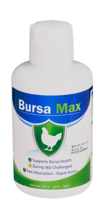 Bursa Max 
