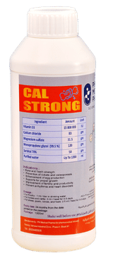 Cal Strong